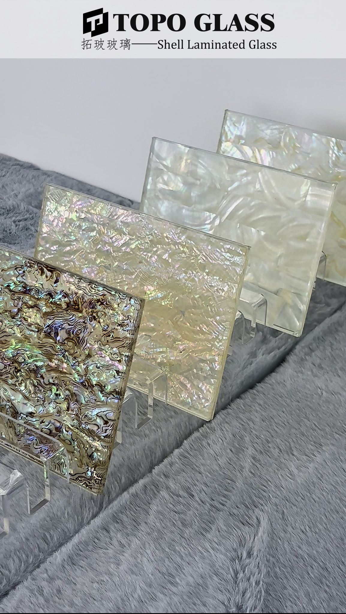 Shell Laminated Glass شل الزجاج الرقائقي (1)
