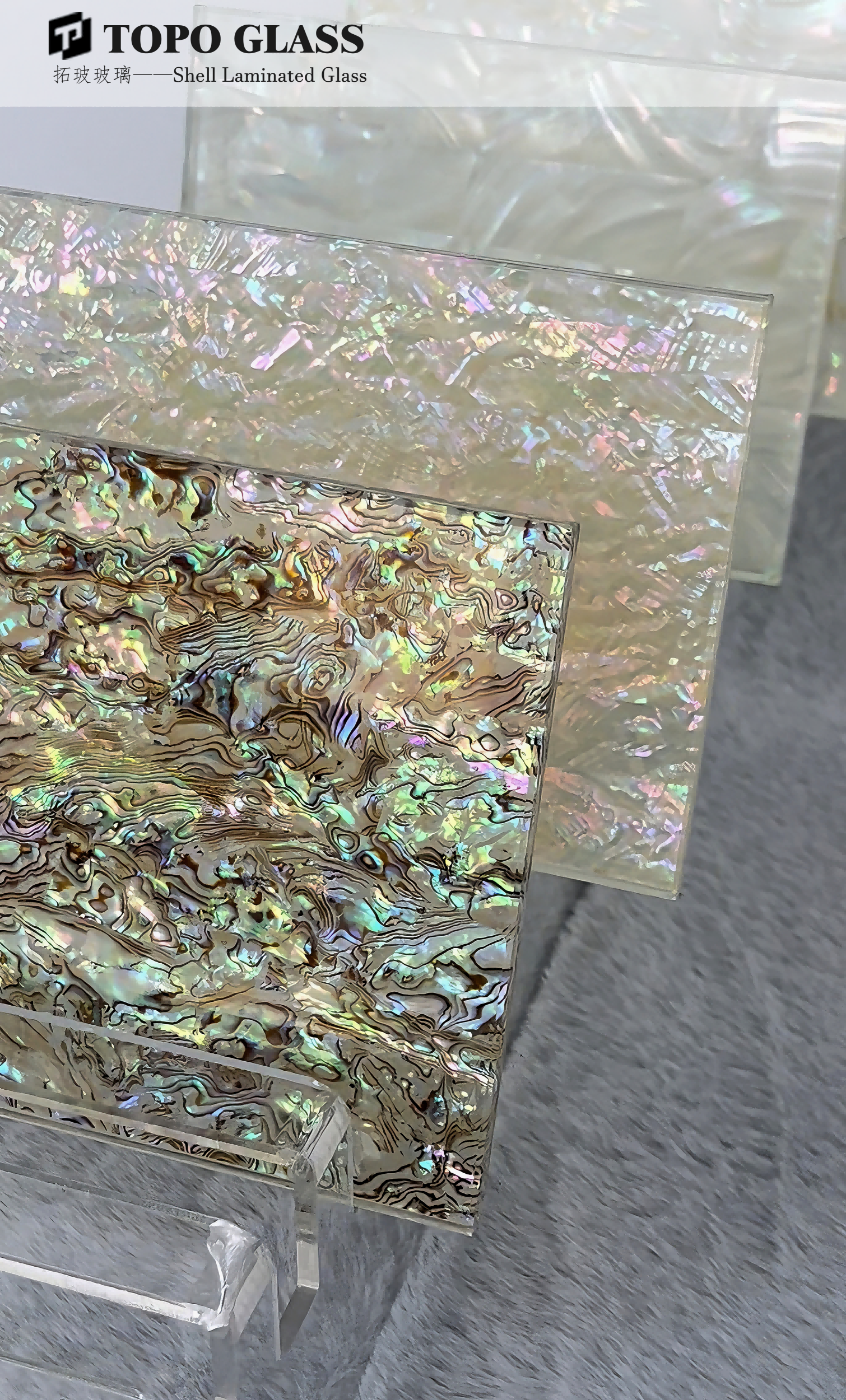 Shell Laminated Glass شل الزجاج الرقائقي (4)