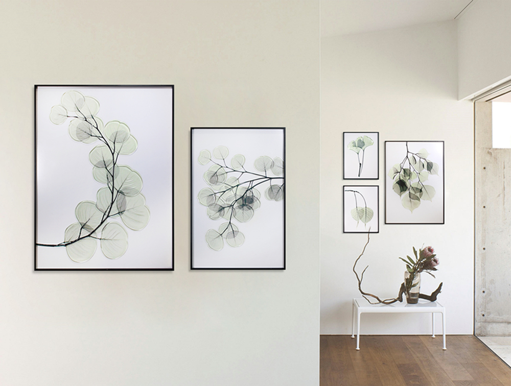 Classical Plant Painting اللوحة النباتية الكلاسيكية