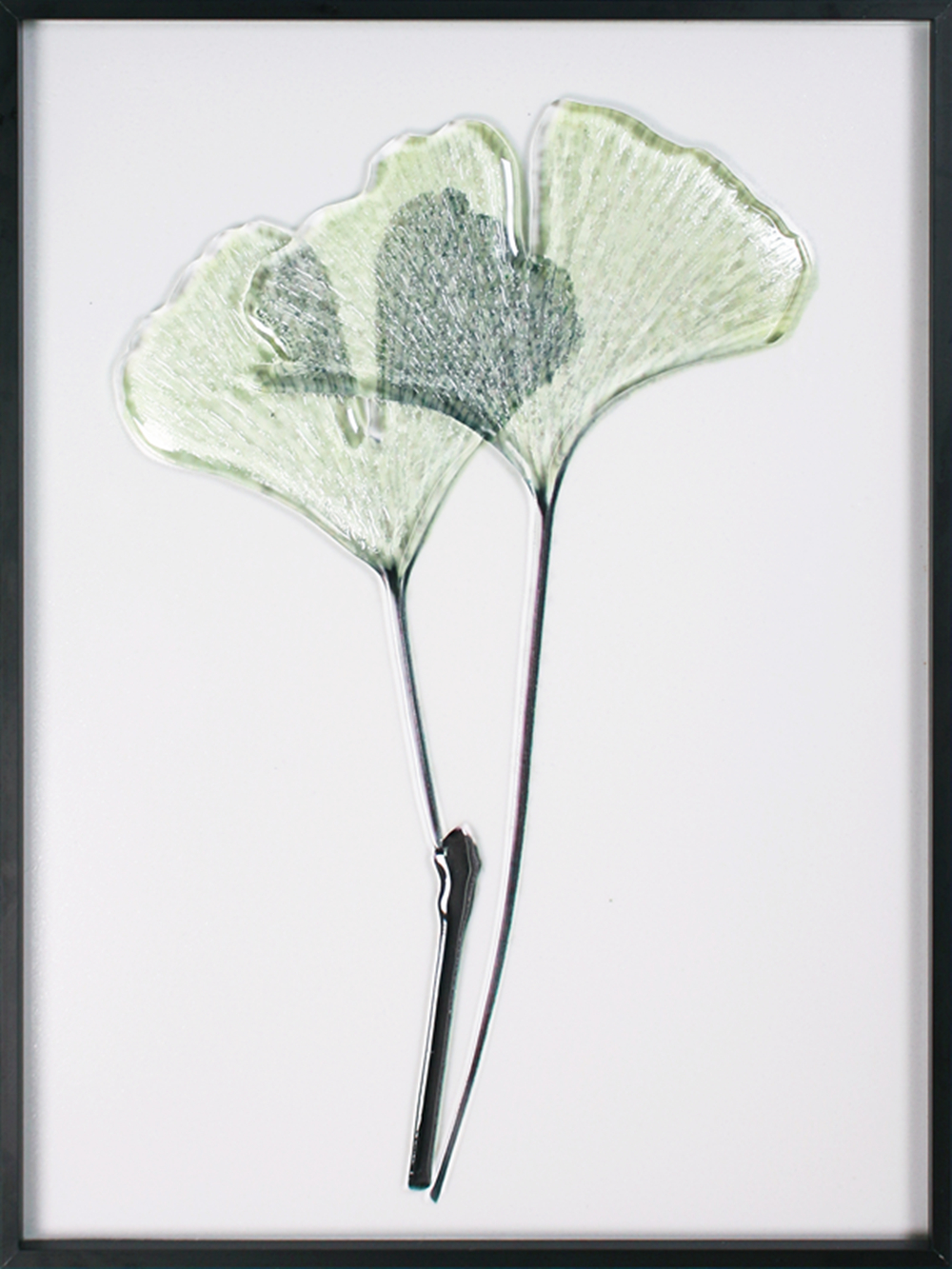 Decorative Art Plant Painting اللوحة الفنية للنباتات الزخرفية