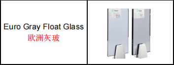 عميل من دولة الإمارات العربية المتحدة يزور شركة TopoGlass لتعزيز التعاون مع شركة تصنيع الزجاج الصينية (1)